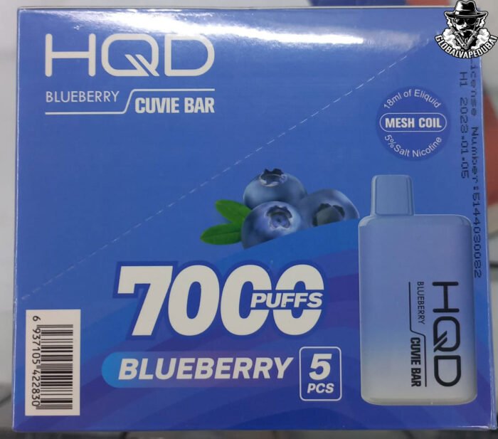 Blueberry HQD Dispossible 7000 Puffs - Image 3