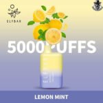 ELF Bar Disposable 5000 Puffs Vape - Image 15