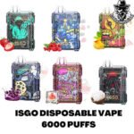 ISGO 6000 Puffs Disposable