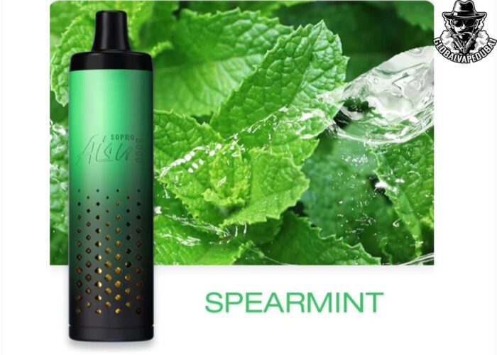 Spearmint Aisu Sopro 5000 Puffs Disposable - Image 7
