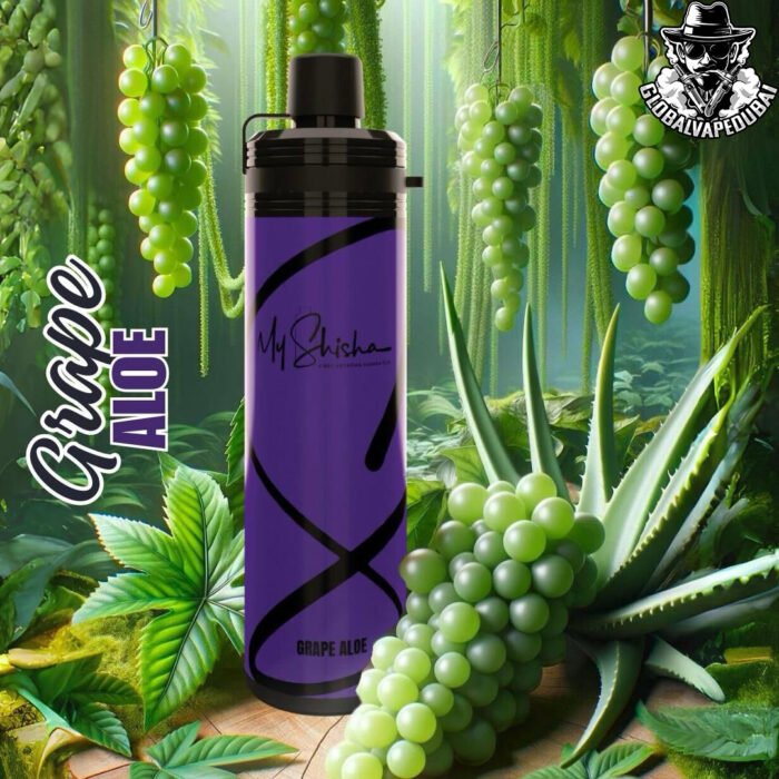 Grape-Aloe My Shisha DTL 10000 Pufffs Disposable - Image 12