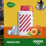 VOZOL Gear Disposable 10000 Puffs - Image 7