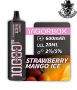 Vigorbox Disposable 10000 Puffs - Image 12