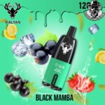 Kalyan Pro Disposable 12000 Puffs Vape in Dubai Uae - Image 2