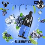 Kalyan Pro Disposable 12000 Puffs Vape in Dubai Uae - Image 3