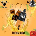 Kalyan Pro Disposable 12000 Puffs Vape in Dubai Uae - Image 4