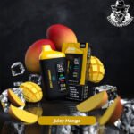 BLVK Bar Disposable 20000 Puffs Vape in Dubai Uae - Image 8
