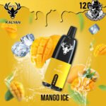 Kalyan Pro Disposable 12000 Puffs Vape in Dubai Uae - Image 7