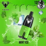 Kalyan Pro Disposable 12000 Puffs Vape in Dubai Uae - Image 17