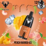 Kalyan Pro Disposable 12000 Puffs Vape in Dubai Uae - Image 19