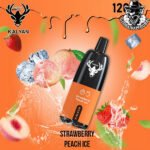 Kalyan Pro Disposable 12000 Puffs Vape in Dubai Uae - Image 23