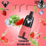 Kalyan Pro Disposable 12000 Puffs Vape in Dubai Uae - Image 10