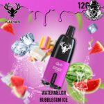 Kalyan Pro Disposable 12000 Puffs Vape in Dubai Uae - Image 11