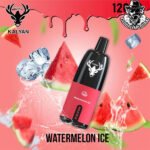 Kalyan Pro Disposable 12000 Puffs Vape in Dubai Uae - Image 12