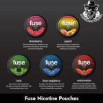 Buy Fuse Nicotine Pouches