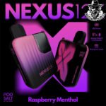 Pod Salt Nexus Disposable 12000 Puffs Vape in Uae Dubai - Image 13