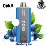 Cokii Disposable 16000 Puffs Vape Zero Nicotine in Dubai Uae - Image 2