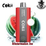 Cokii Disposable 16000 Puffs Vape Zero Nicotine in Dubai Uae - Image 6