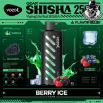 Vozol Gear Shisha Disposable 25000 Puffs Vape in Dubai Uae - Image 2