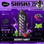 Vozol Gear Shisha Disposable 25000 Puffs Vape in Dubai Uae - Image 3