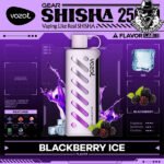 Vozol Gear Shisha Disposable 25000 Puffs Vape in Dubai Uae - Image 4