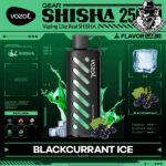 Vozol Gear Shisha Disposable 25000 Puffs Vape in Dubai Uae - Image 5