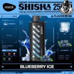 Vozol Gear Shisha Disposable 25000 Puffs Vape in Dubai Uae - Image 6