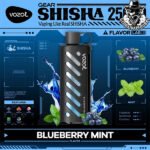 Vozol Gear Shisha Disposable 25000 Puffs Vape in Dubai Uae - Image 7