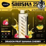 Vozol Gear Shisha Disposable 25000 Puffs Vape in Dubai Uae - Image 13