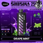 Vozol Gear Shisha Disposable 25000 Puffs Vape in Dubai Uae - Image 16