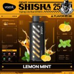 Vozol Gear Shisha Disposable 25000 Puffs Vape in Dubai Uae - Image 17