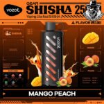 Vozol Gear Shisha Disposable 25000 Puffs Vape in Dubai Uae - Image 21
