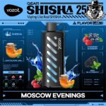 Vozol Gear Shisha Disposable 25000 Puffs Vape in Dubai Uae - Image 22