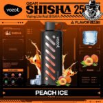 Vozol Gear Shisha Disposable 25000 Puffs Vape in Dubai Uae - Image 24