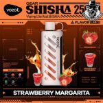 Vozol Gear Shisha Disposable 25000 Puffs Vape in Dubai Uae - Image 27