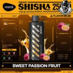 Vozol Gear Shisha Disposable 25000 Puffs Vape in Dubai Uae - Image 28