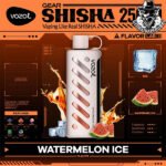 Vozol Gear Shisha Disposable 25000 Puffs Vape in Dubai Uae - Image 30