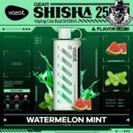 Vozol Gear Shisha Disposable 25000 Puffs Vape in Dubai Uae - Image 31
