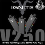 IGNITE V250 Disposable 25000 Puffs Vape in Dubai Uae