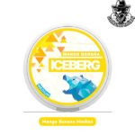 Buy Iceberg Medium Nicotine Pouches in Dubai Uae - Image 7