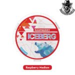Buy Iceberg Medium Nicotine Pouches in Dubai Uae - Image 9