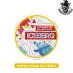 Buy Iceberg Medium Nicotine Pouches in Dubai Uae - Image 11