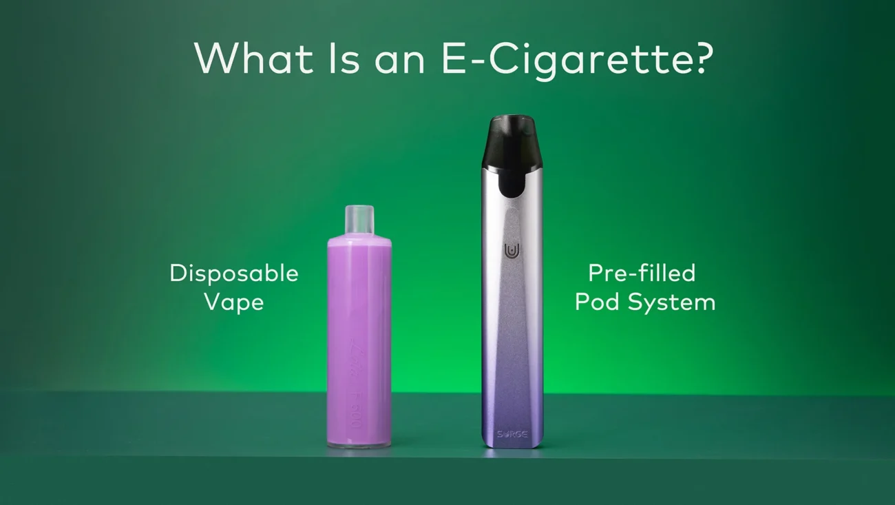 Electronic cigarette vs disposable vape