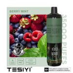 Tesiyi Ultra Shisha Disposable 35000 Puffs Vape in Dubai Uae - Image 2