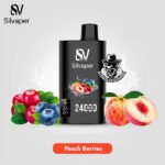 Silvaper Disposable 24000 Puffs Vape in Dubai Uae - Image 20