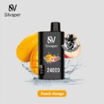 Silvaper Disposable 24000 Puffs Vape in Dubai Uae - Image 21