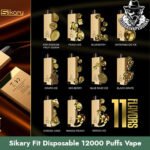 Sikary Fit Disposable 12000 Puffs Vape in Dubai Uae