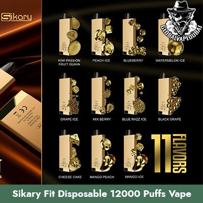 Sikary Fit Disposable 12000 Puffs Vape in Dubai Uae