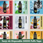 Tesiyi Ak 50000 Puffs 50MG Disposable Vape in Dubai Uae