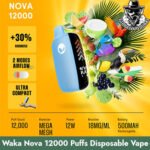 Waka Nova 12000 Puffs 18MG Disposable Vape in Dubai Uae